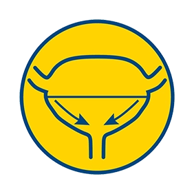 устраняет боли и рези при мочеиспускании