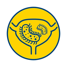 препятствует размножению бактерий и распространению воспаления в мочевыводящих путях