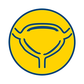 устраняет дизурические явления и нормализует тонус мочевого пузыря