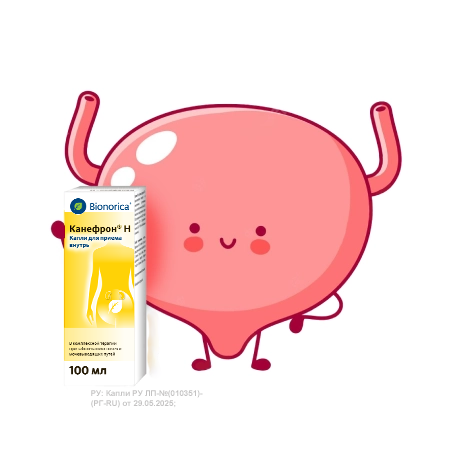 Канефрон® Н