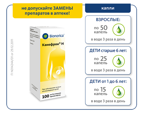 День по 15 капель. Капли от цистита канефрон для детей. Канефрон н 100мл. Капли при цистите канефрон. Канефрон н капли 100мл.